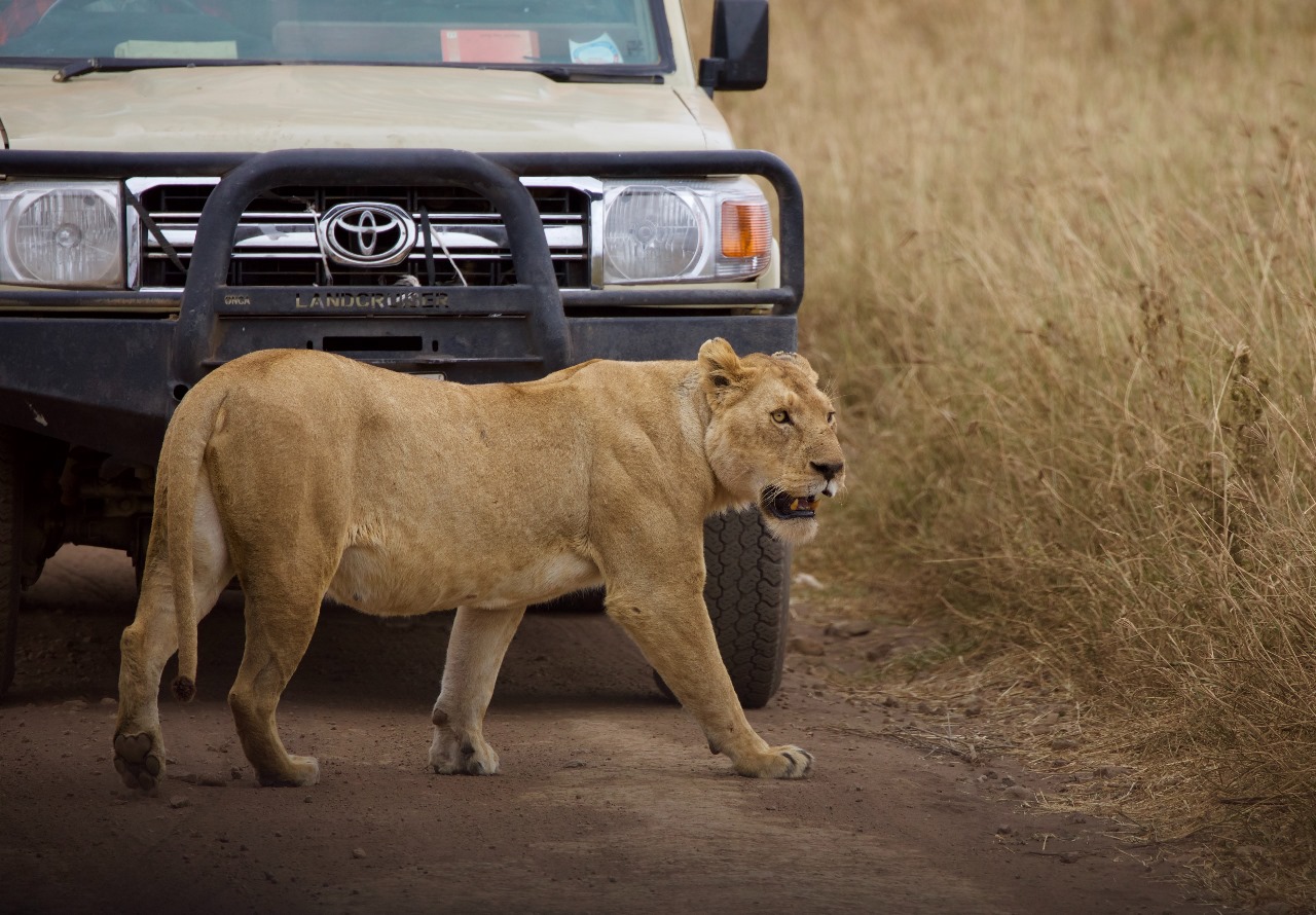 Tanzania Safari and Beach Holiday Packages